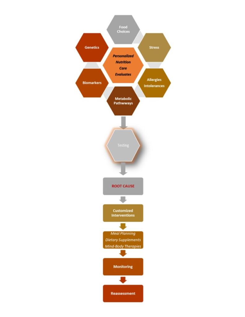 IFN Diagram